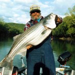 Different Types of Bass Fish