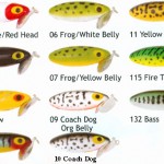 Top Water Baits for Bass Fishing