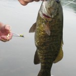 Early Morning Bass Fishing