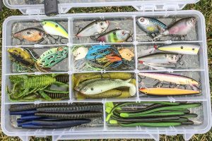 where to find bass on lakes for beginners dock structure