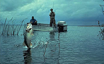 History of Bass Fishing