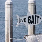 Bass fishing with live bait