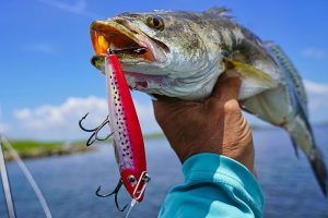 topwater bass fishing strike explosion technique